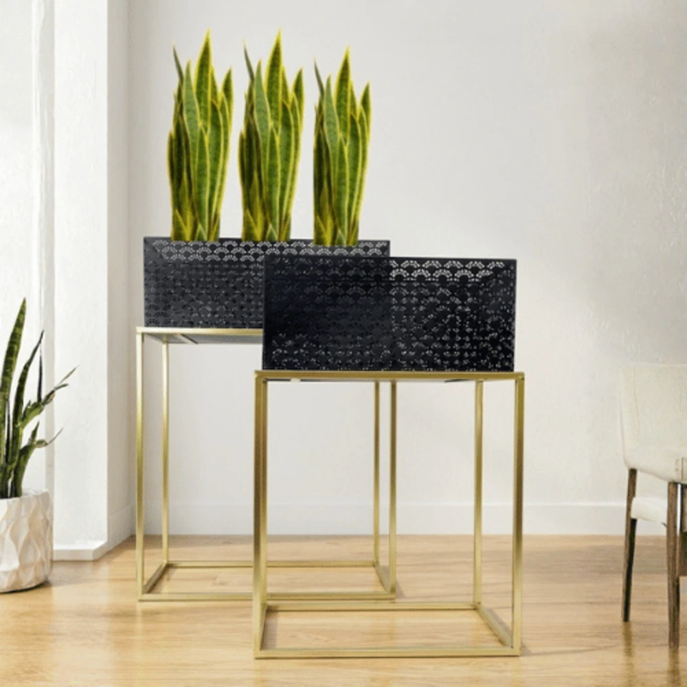 2 Piece Black Rectangle Plant Stand