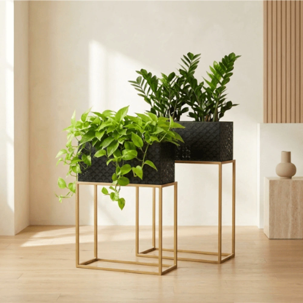 2 Piece Black Rectangle Plant Stand