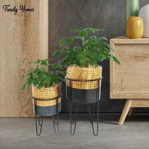 plant stand