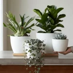Minimalist Mini Tapered Round Planter White