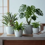 Minimalist Mini Tapered Round Planter White - Image 9