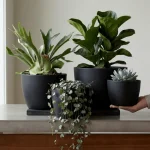 Tapered Round Plastic Planter Black
