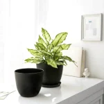 Minimalist Mini Tapered Round Plastic Planter Black - Image 11