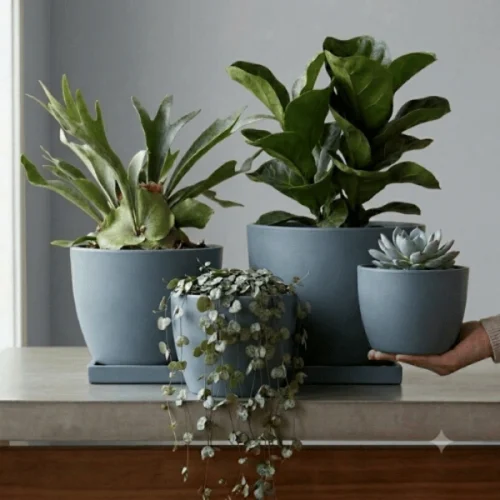 Tapered Round Plastic Planter Blue Gray