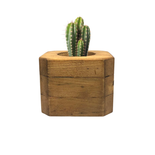 wooden succulent plant pot