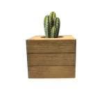 wooden succulent pot