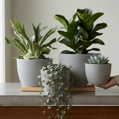 Tapered Round Plastic Planter Light Gray
