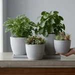 Minimalist Mini Tapered Round Plastic Planter Light Gray - Image 7
