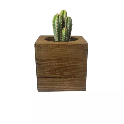 wooden cactus pot