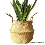 seagrass plant basket