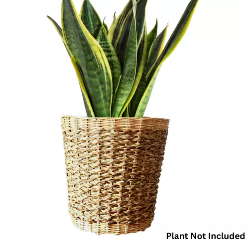 rattan plant holder