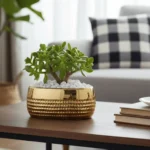 Aurum Verde Ceramic Bowl - Image 3