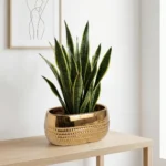 Aurum Verde Ceramic Bowl