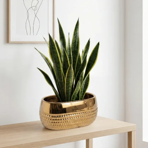 Aurum Verde Ceramic Bowl