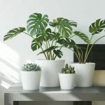 Wide Rim Round Plastic Planter  White