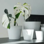 Minimalist Mini Wide Rim Round Plastic Planter White - Image 7