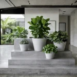 Minimalist Mini Wide Rim Round Plastic Planter White - Image 8