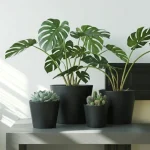 Wide Rim Round Plastic Planter Black
