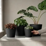 Minimalist Mini Wide Rim Round Plastic Planter Black - Image 7