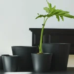 Minimalist Mini Wide Rim Round Plastic Planter Black - Image 8