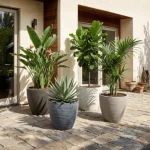 Stone Textured Round Planter Extra Large - Image 8
