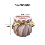 Ceramic Planter cactus and Succulent Decorative Desk and Table Ceramic Plant Pot CP03-CP05 - Image 6