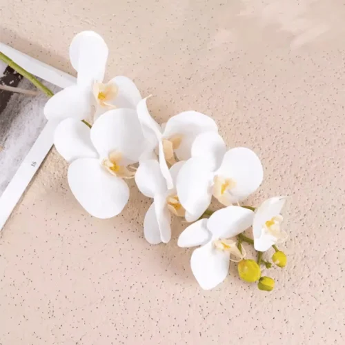 White & Soft peach Orchid Flower Stem