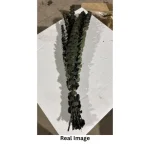 Dried Eucalyptus Natural Green - Image 3