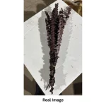 Dried Eucalyptus Natural Red - Image 3