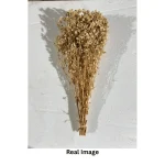 Dried Baby’s Breath Gypsophila Grass - Image 12