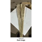 Dried Pampas Grass Natural Grey - Image 3