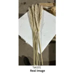 Dried Pampas Grass Natural Grey - Image 5