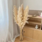 Natural Beige Dried Pampas Grass - Image 10