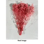 Dried Baby’s Breath Gypsophila Grass - Image 4