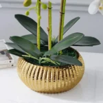 Ribbed Crown Ceramic Bowl - Image 10