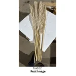 Dried Pampas Grass Natural Grey - Image 7