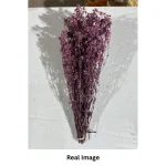 Dried Baby’s Breath Gypsophila Grass - Image 8