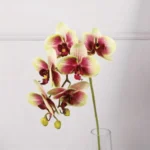 3D Printed Artificial Green Orchid Flower Stem 