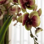 3D Printed Artificial Green Orchid Flower Stem  - Image 9