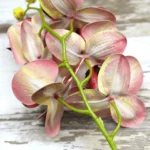 3D Printed Artificial Red Orchid Flower Stem  - Image 5