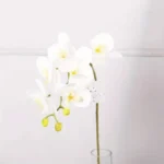 Artificial White & Yellow Orchid Flower Stem 