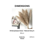 Dried Pampas Grass Natural Grey - Image 3