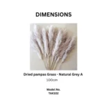Dried Pampas Grass Natural Grey - Image 4