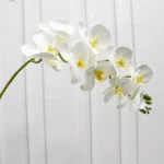 3D Printed Artificial White & Yellow Orchid Flower Stem  - Image 7