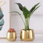 Gold Nook Ceramic Vase