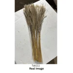 Dried Reed Grass - Image 7