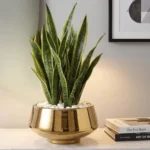 Gold Bevel Ceramic Vase - Image 4