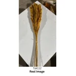 Dried Reed Grass - Image 4