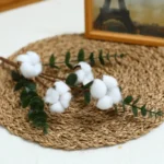 Single Eucalyptus & Cotton Stem Rustic White 