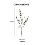 Single Eucalyptus & Cotton Stem Rustic White  - Image 2